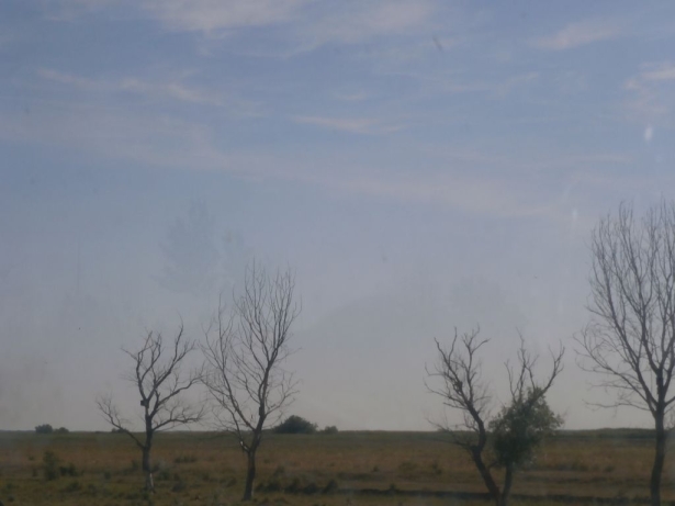 hortobagy20140616_07