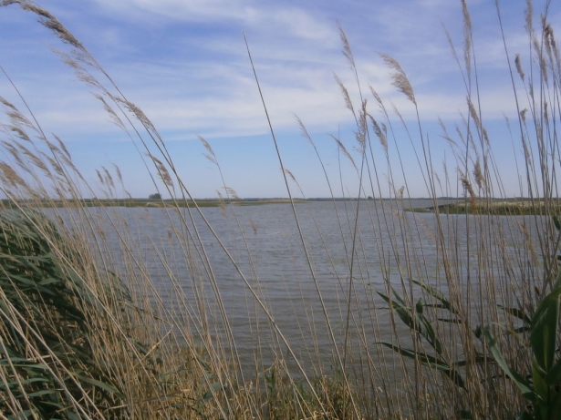 hortobagy20140616_20