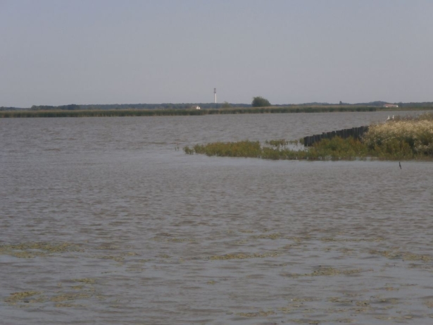 hortobagy20140616_23