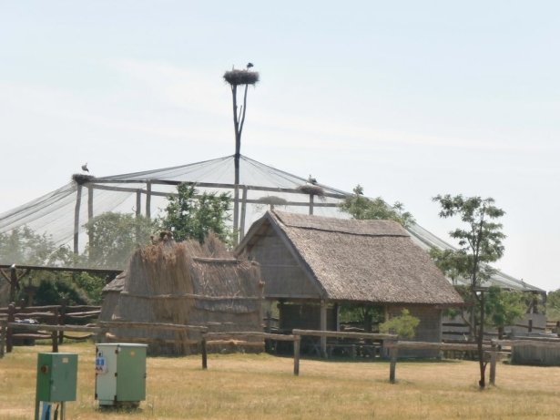 hortobagy20140616_45