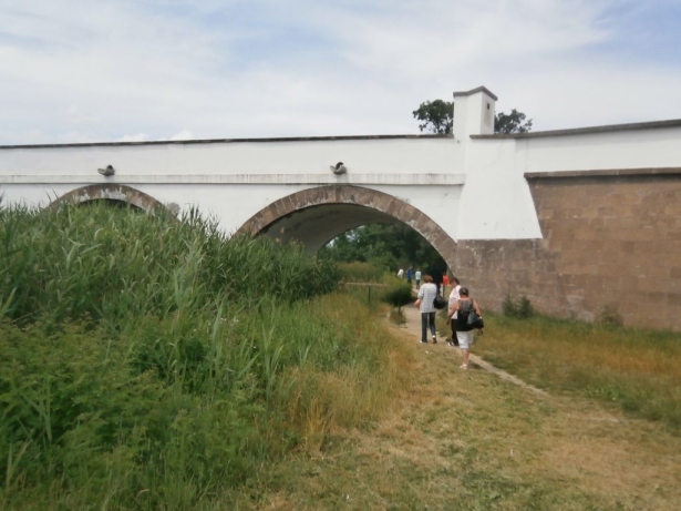 hortobagy20140616_58